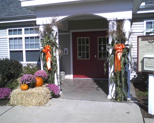 corn stalks and mums