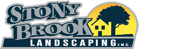 owlwatch logo